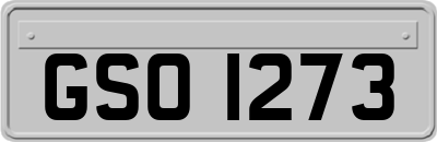 GSO1273