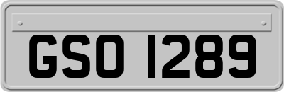 GSO1289