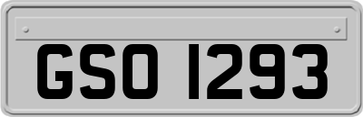 GSO1293