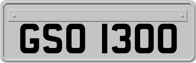 GSO1300