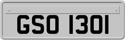 GSO1301