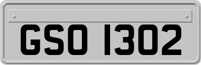GSO1302