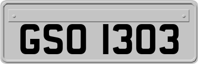GSO1303