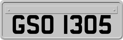 GSO1305