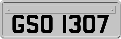 GSO1307