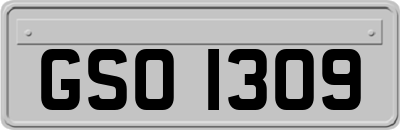 GSO1309
