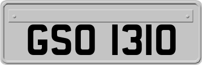 GSO1310