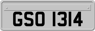 GSO1314