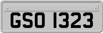 GSO1323