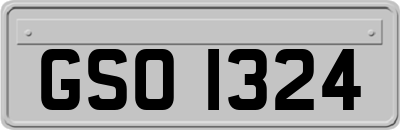 GSO1324