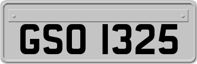 GSO1325