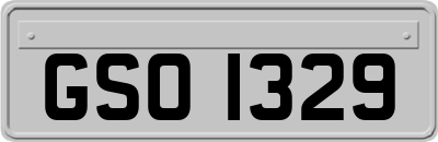 GSO1329