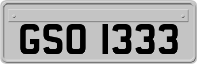 GSO1333
