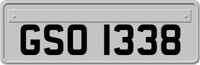 GSO1338