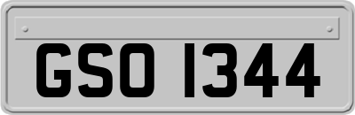 GSO1344