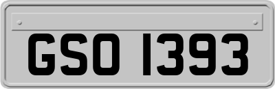 GSO1393
