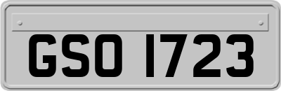 GSO1723