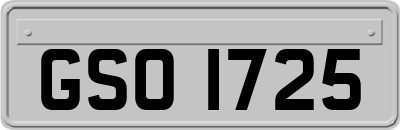 GSO1725
