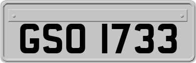 GSO1733