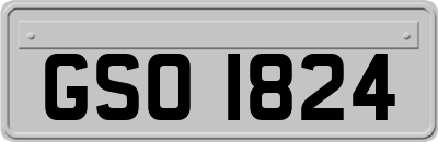 GSO1824