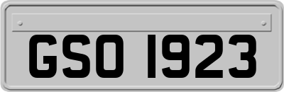 GSO1923