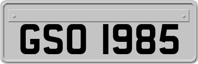 GSO1985