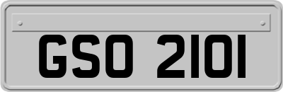 GSO2101