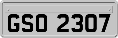 GSO2307