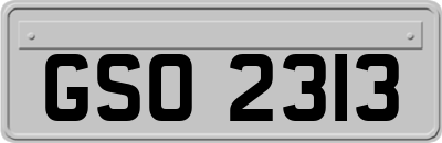 GSO2313