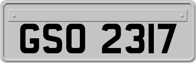 GSO2317