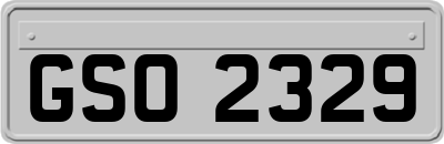 GSO2329