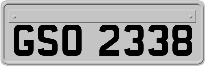 GSO2338