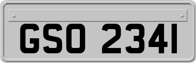 GSO2341