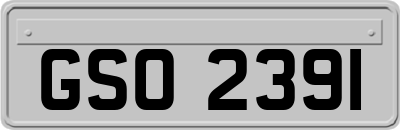 GSO2391