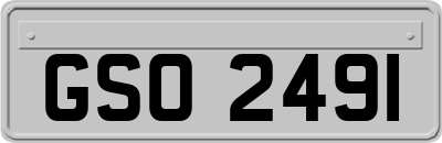GSO2491