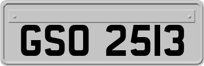 GSO2513