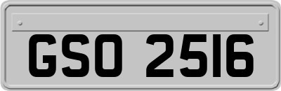 GSO2516