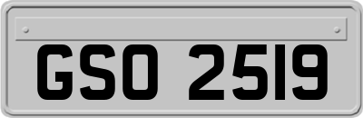 GSO2519