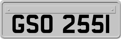 GSO2551