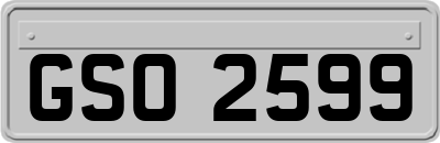GSO2599
