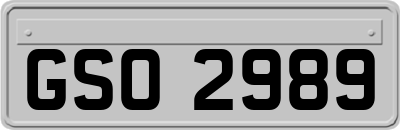 GSO2989