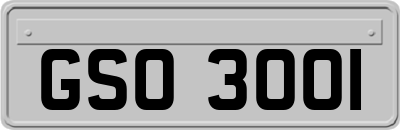 GSO3001