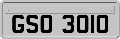 GSO3010