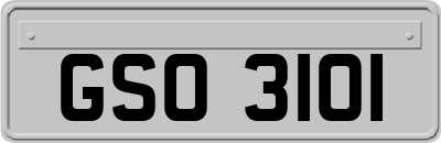 GSO3101