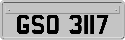 GSO3117