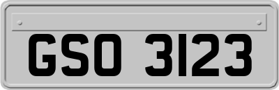 GSO3123