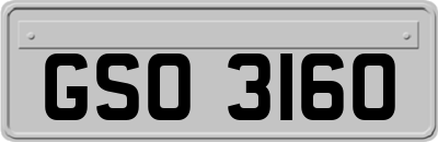 GSO3160