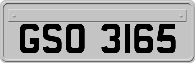 GSO3165