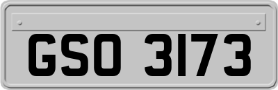 GSO3173