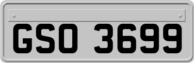 GSO3699